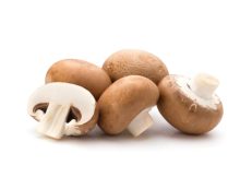 Chestnut Mushroom