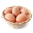 Organic Free-Range Eggs