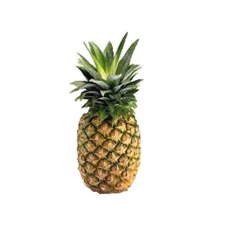 PINEAPPLES CS