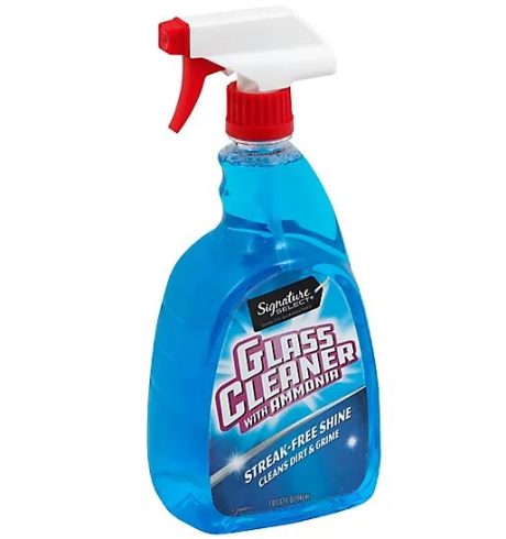 CLEANER GLASS CLR W/AMMNIA32OZ