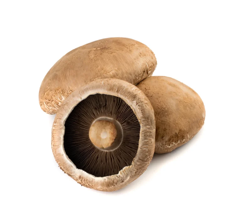 mushrooms-portabellas