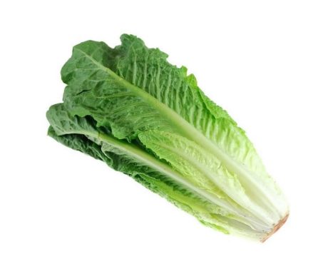 ROMAINE HEART LETTUCE